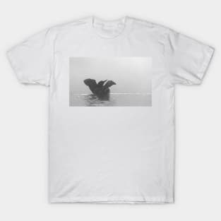 Common Loon - Wilson Lake T-Shirt